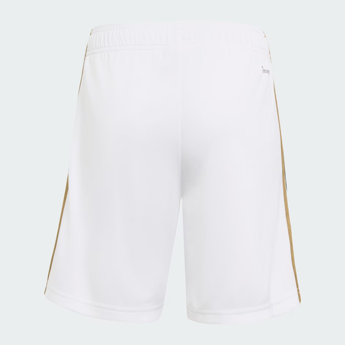 Saudi Team Shorts