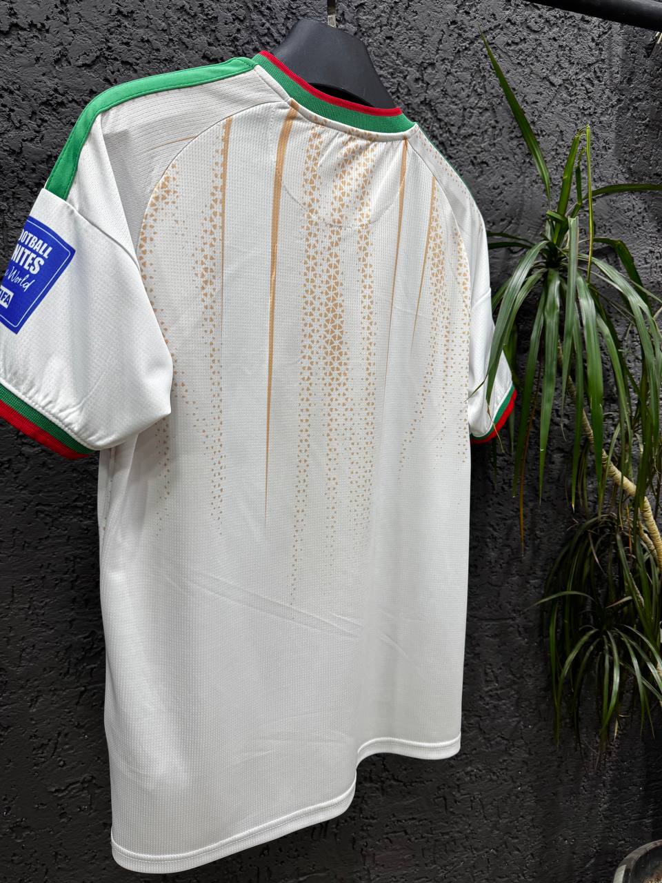 Algeria-Themed Customizable Football Jersey 2026